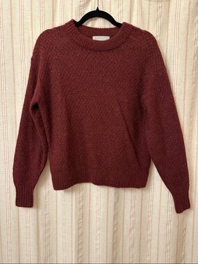 Everlane Women's Crewneck Sweater in Burgundy